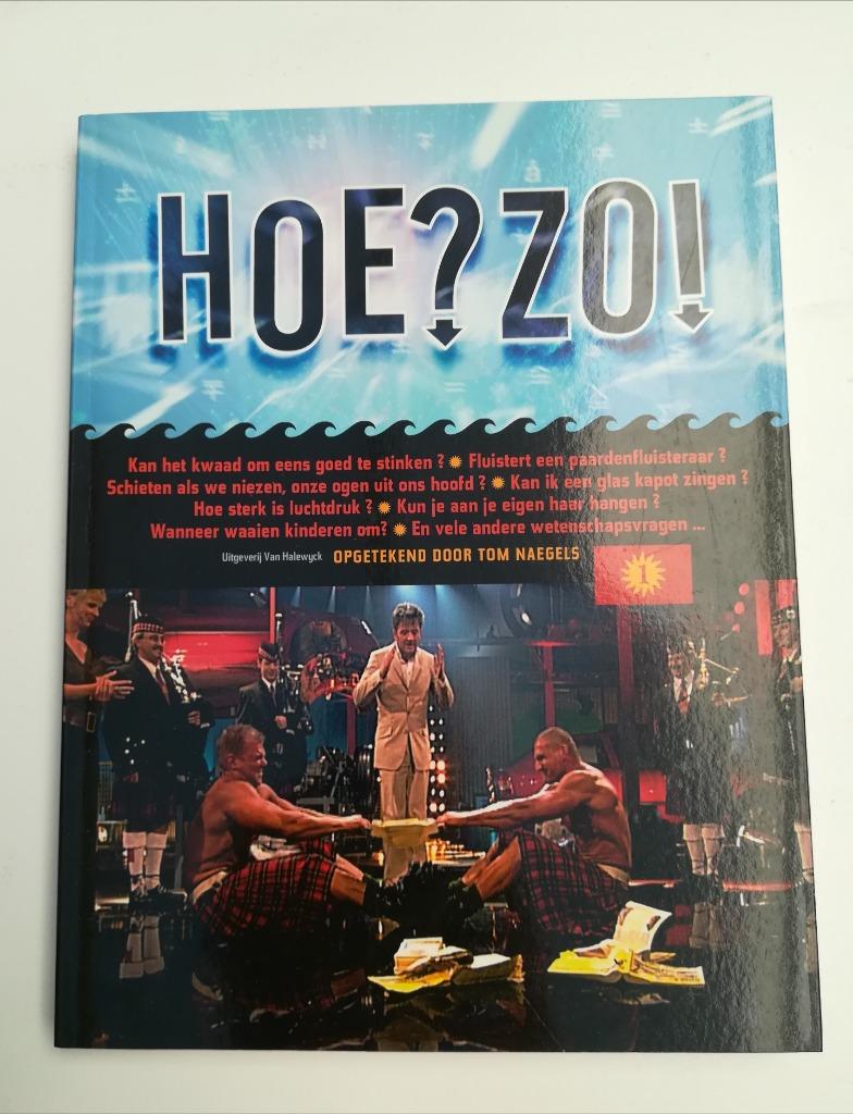 Hoe?Zo! (Tom Naegels), Ophalen of Verzenden, Tom Naegels