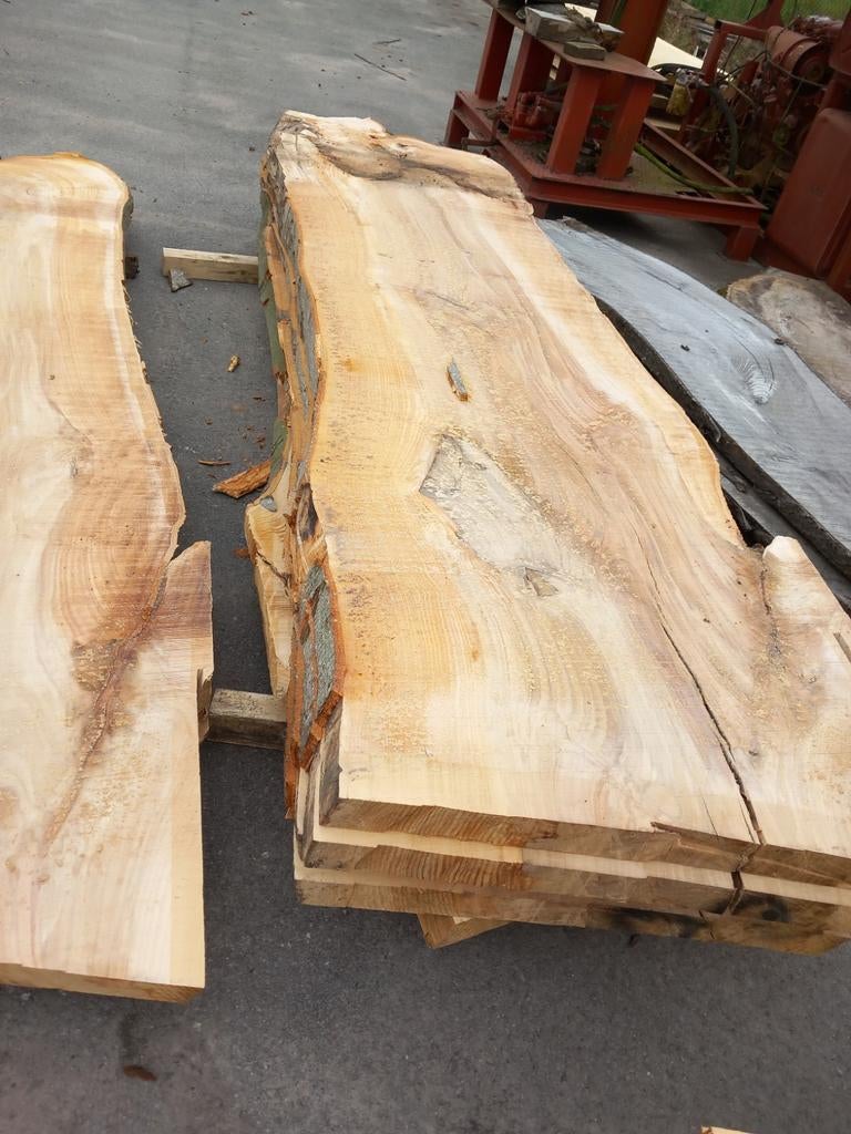 Boomstamtafels Boomstamtafelbladen Boomstamtafelplanken, Bricolage & Construction, Bois & Planches, Neuf, Hêtre, Enlèvement
