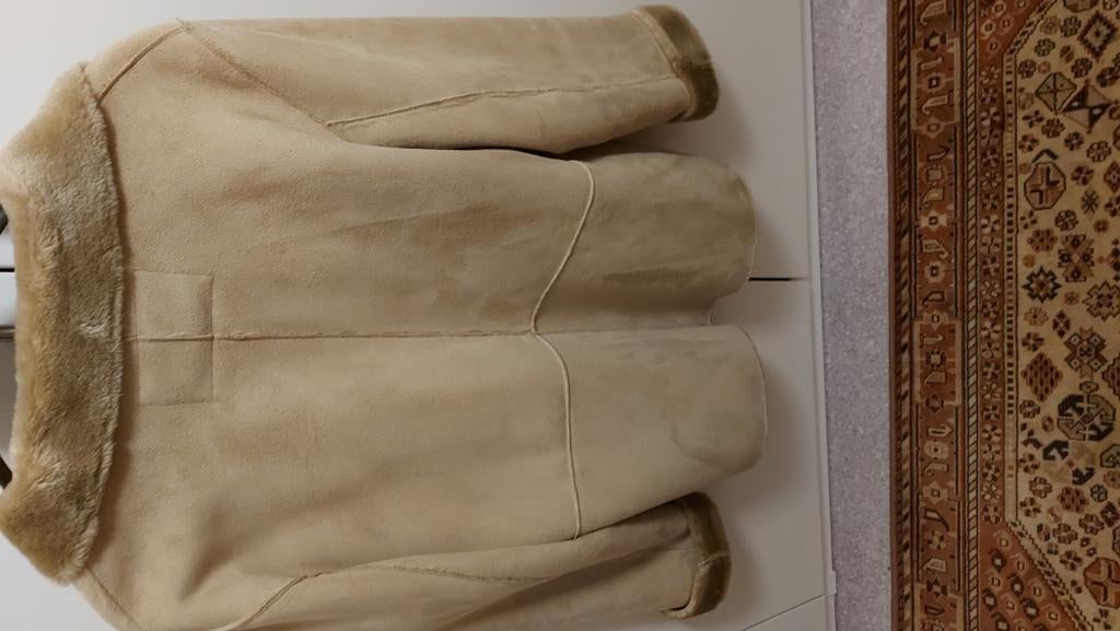 Daine jas merk melding maat 42, Kleding | Dames, Ophalen, Zo goed als nieuw