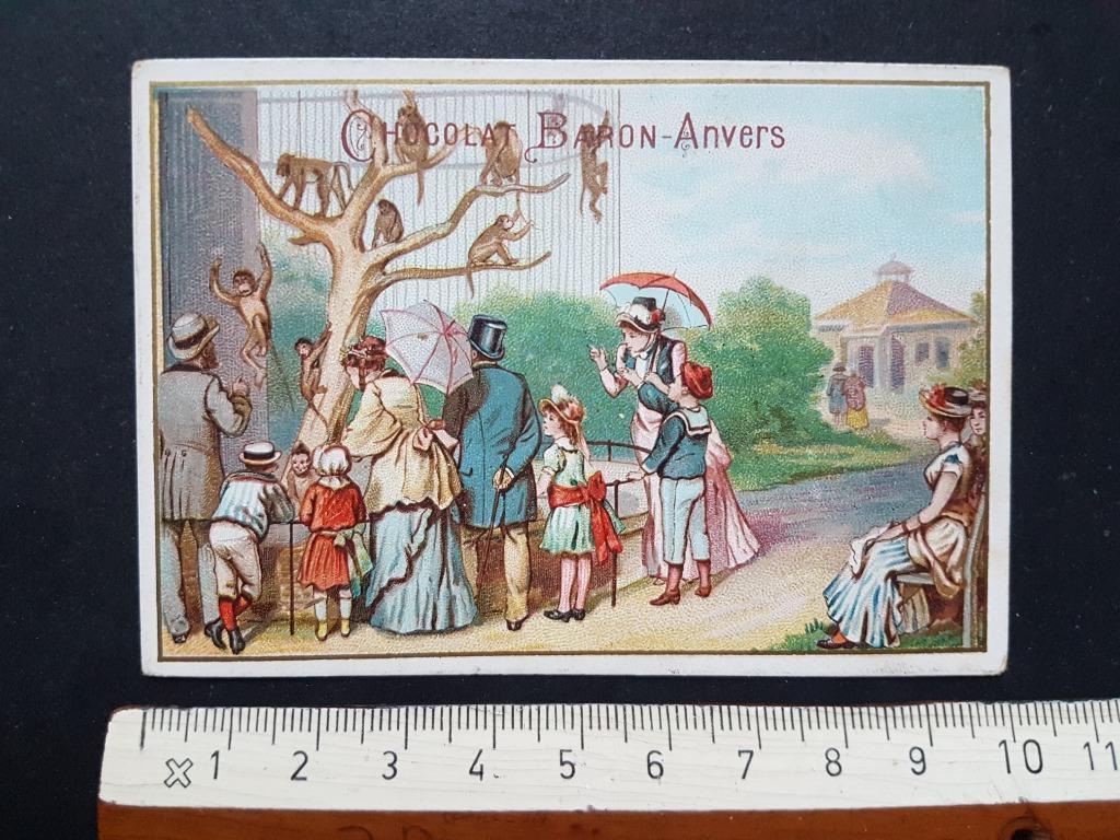 Chromo Chocolat Baron Anvers Antwerpen ZOO apen aap, Verzamelen, Ophalen of Verzenden, Zo goed als nieuw, Voor 1940, Dier