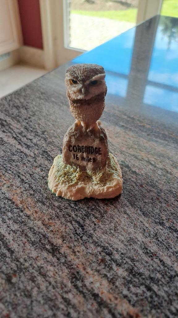 Uiltje op steen, Ophalen of Verzenden