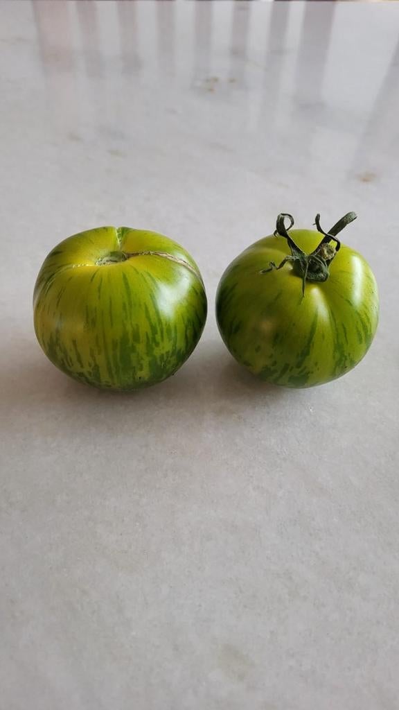 Verschillende rassen BİO tomaten zaden(10 stuks voor 1 euro), Tuin en Terras, Ophalen of Verzenden