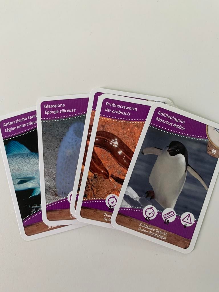 Makro kaartjes dieren schatten van de oceanen, Enlèvement ou Envoi, Neuf