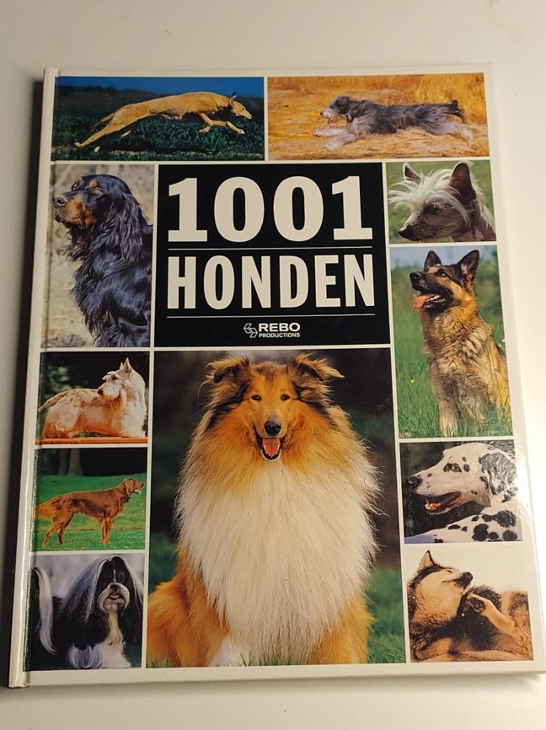 1001 honden - Rebo productions, Ophalen of Verzenden, Zo goed als nieuw, Honden