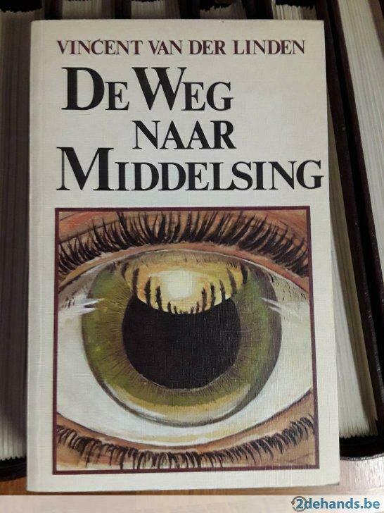 De weg naar Middelsing, Vincent van der Linden, Ophalen of Verzenden, Nieuw
