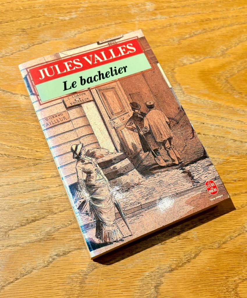 Jules Vallès - De vrijgezel, zakboek, Boeken, Romans, Gelezen, Europa overig, Ophalen of Verzenden