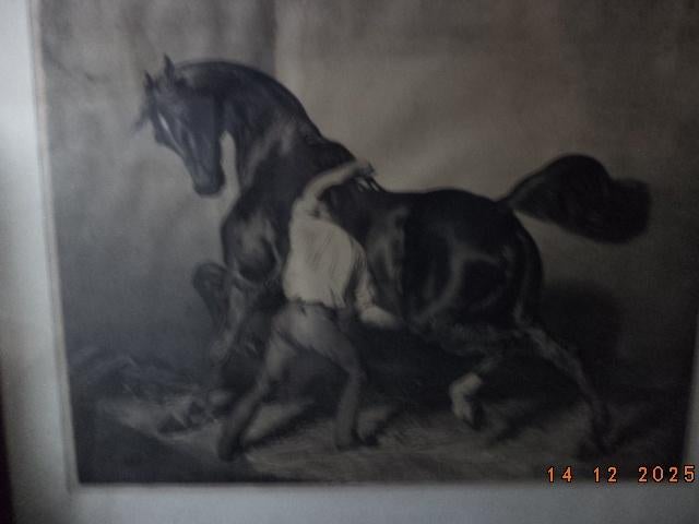 Théodore GÉRICAULT  (1791-1824): ets. Zeer goede staat., Antiquités & Art, Enlèvement ou Envoi
