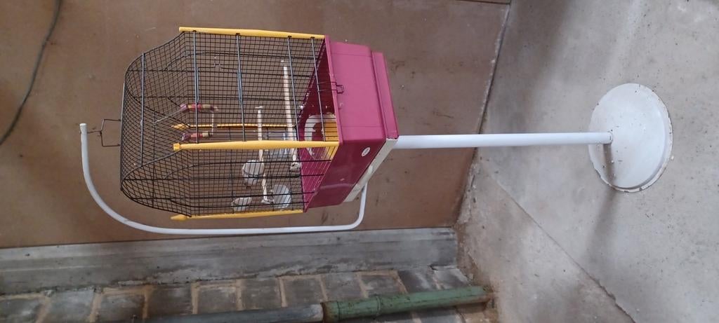 Vogelkooi met staander., Ophalen, Gebruikt