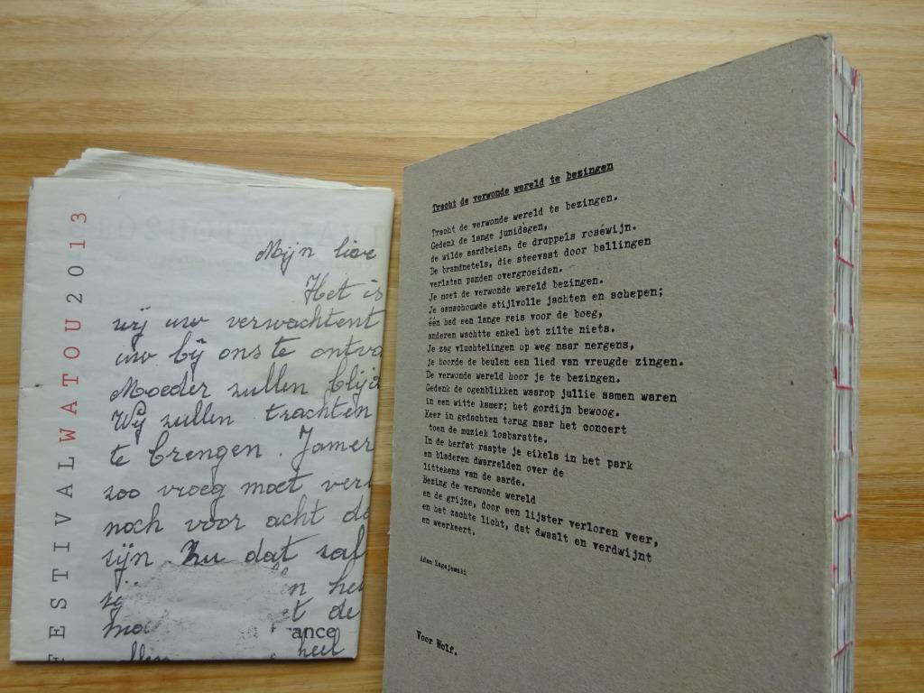 Watou 2013, Boeken, Kunst en Cultuur | Beeldend, Ophalen of Verzenden, Nieuw, Schilder- en Tekenkunst