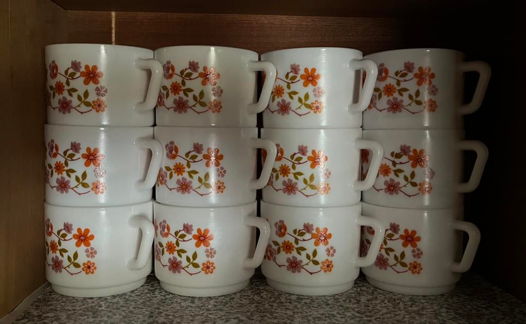 12 tassen, Huis en Inrichting, Ophalen, Zo goed als nieuw, Kop(pen) en/of Schotel(s)