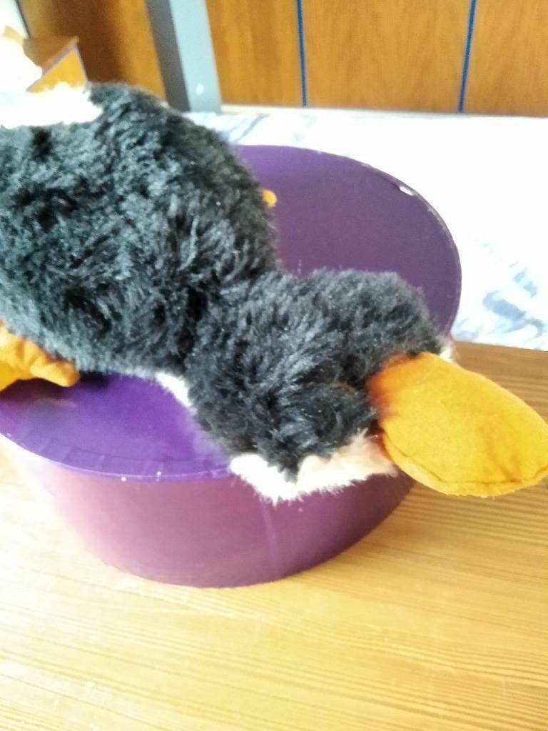 Knuffel eend, Ophalen of Verzenden, Zo goed als nieuw, Eend
