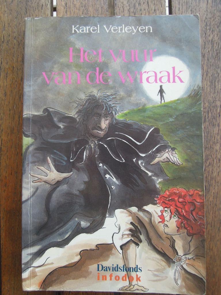 boek Het vuur van de wraak Karel Verleyen infodok Davidsfond, Boeken, Gelezen, Karel Verleyen, Ophalen of Verzenden, Fictie