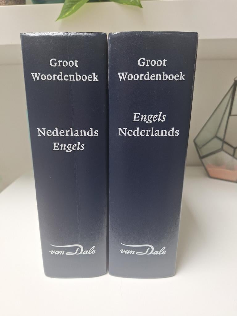 Set Van Dale Groot Woordenboek Nederlands Engels, Boeken, Ophalen, Zo goed als nieuw, Van Dale, Engels