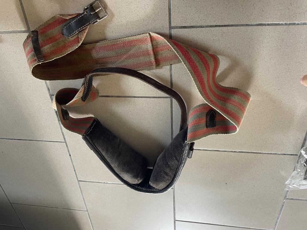 Surfaix ⚠️ voir photos, Animaux & Accessoires, Enlèvement ou Envoi