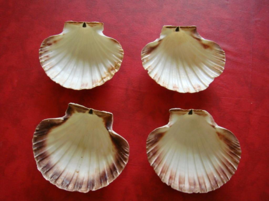 4 Coquilles Saint-Jacques vides, Maison & Meubles, Enlèvement ou Envoi, Utilisé, Autres types, Autres matériaux