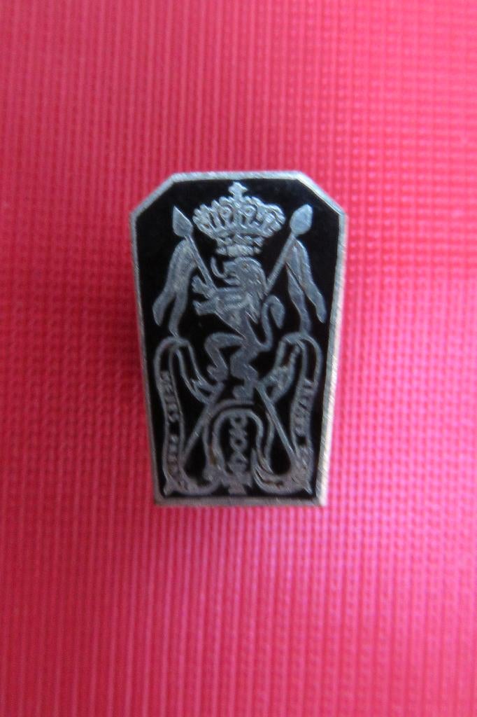 Insigne de boutonnière 2° Lanciers, Collections, Objets militaires | Général, Enlèvement ou Envoi, Armée de terre, Emblème ou Badge