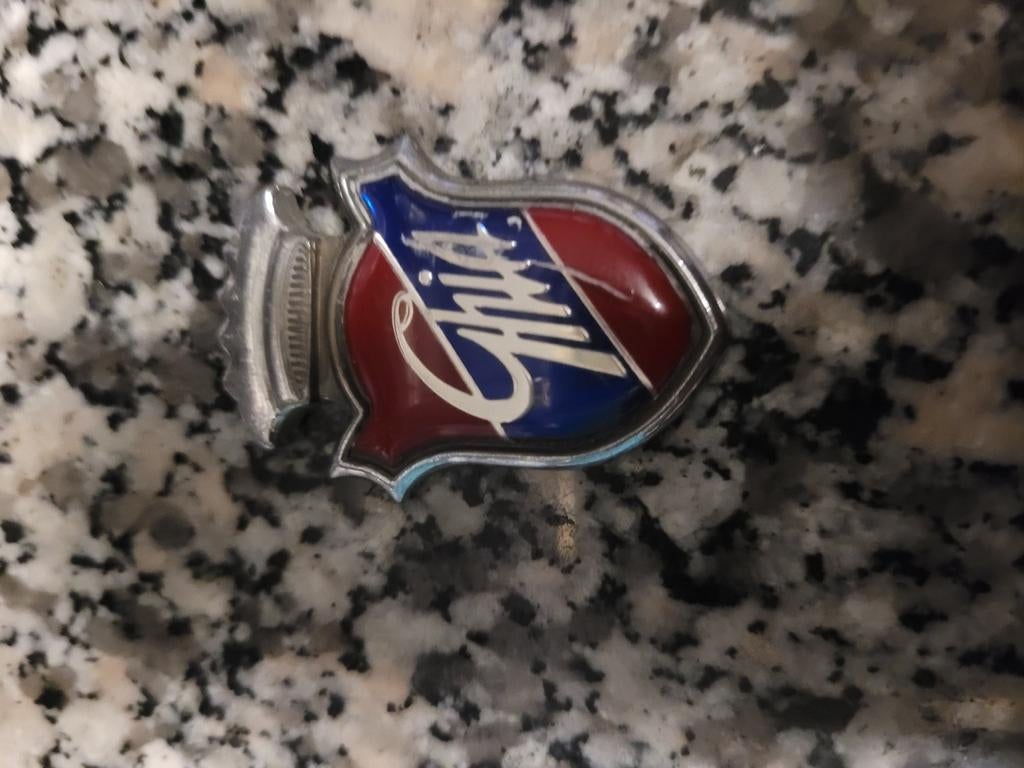 Logo d'aile Ghia, Autos, Particulier, Achat