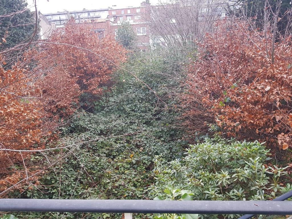 Jardinier disponible