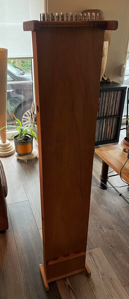Monochord Large., Muziek en Instrumenten, Snaarinstrumenten | Overige, Ophalen, Gebruikt, Overige typen