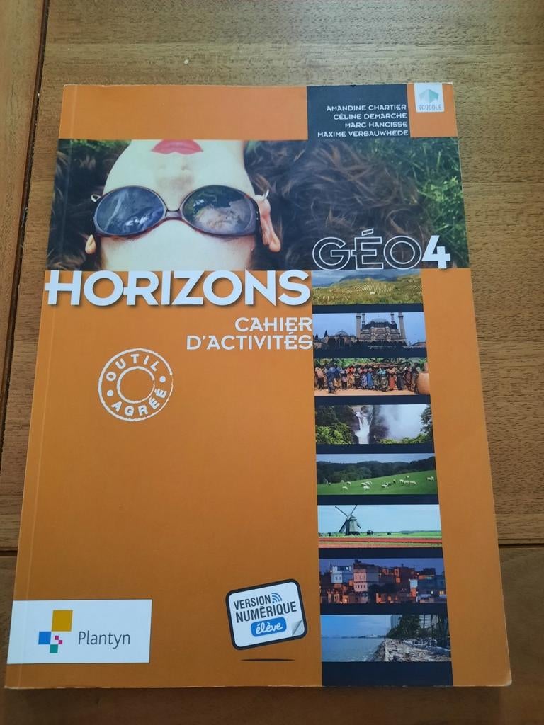 Horizons Géo 4, Livres, Livres scolaires, Enlèvement ou Envoi, Utilisé