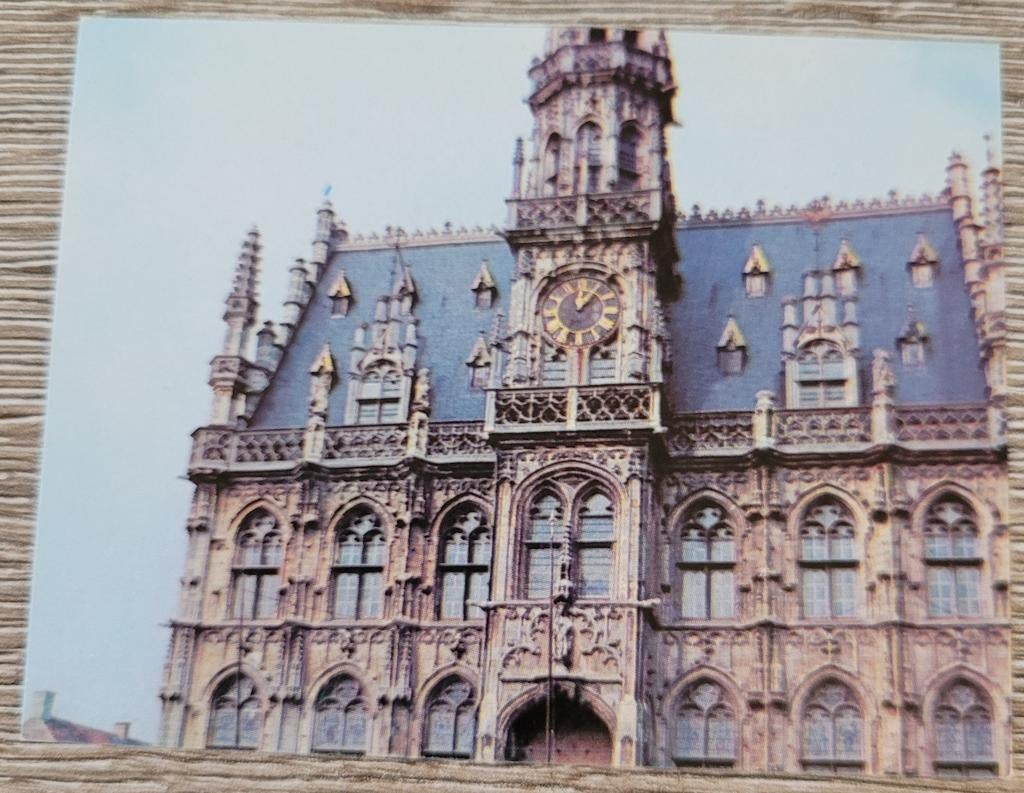 Oude fotoprent: gemeentehuis, Oudenaarde, Ophalen of Verzenden, Gebruikt, Gebouw, Prent