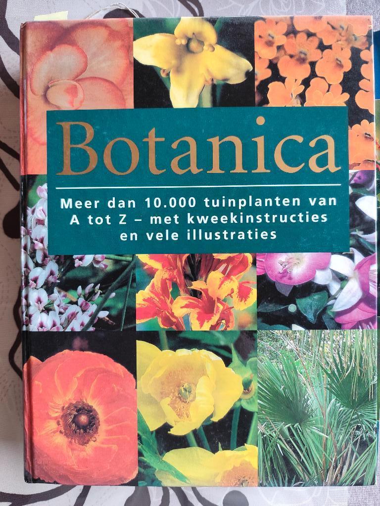 Boek Botanica, Boeken, Rondom House Australia, Ophalen of Verzenden, Zo goed als nieuw, Tuinieren en Tuinplanten