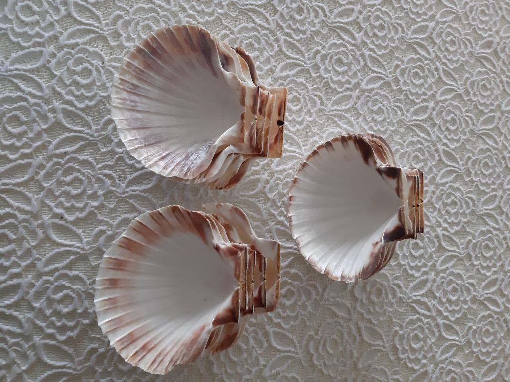16 coquilles d'huîtres, Enlèvement