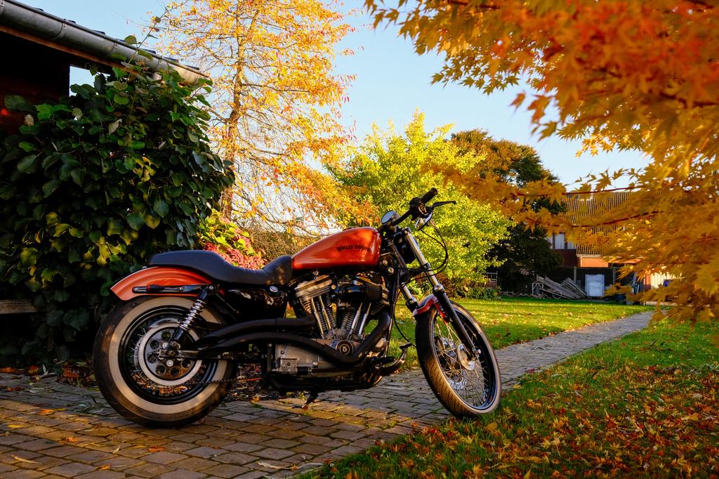 Harley Davidson Sportster Hugger 883, Motoren, Motoren | Harley-Davidson, 2 cilinders, 883 cc, Particulier, Meer dan 35 kW