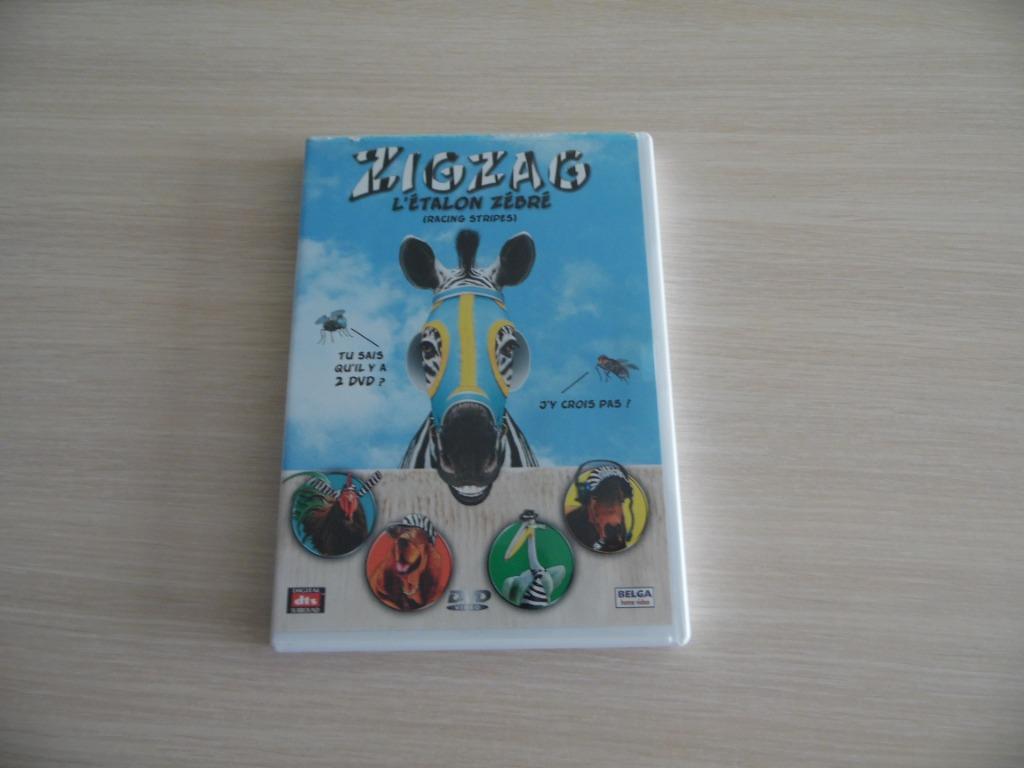 ZIGZAG DE ZEBRAHENGST 2 DVD, Cd's en Dvd's, Dvd's | Tekenfilms en Animatie, Zo goed als nieuw, Amerikaans, Tekenfilm, Alle leeftijden
