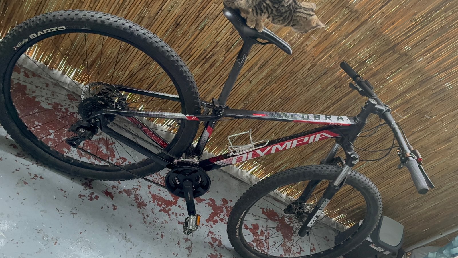 vtt olympia cobra 29, Enlèvement