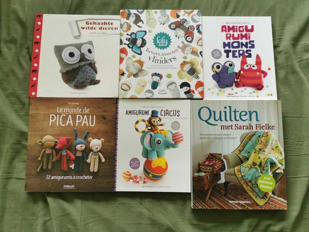 Haak en quiltboeken, Enlèvement