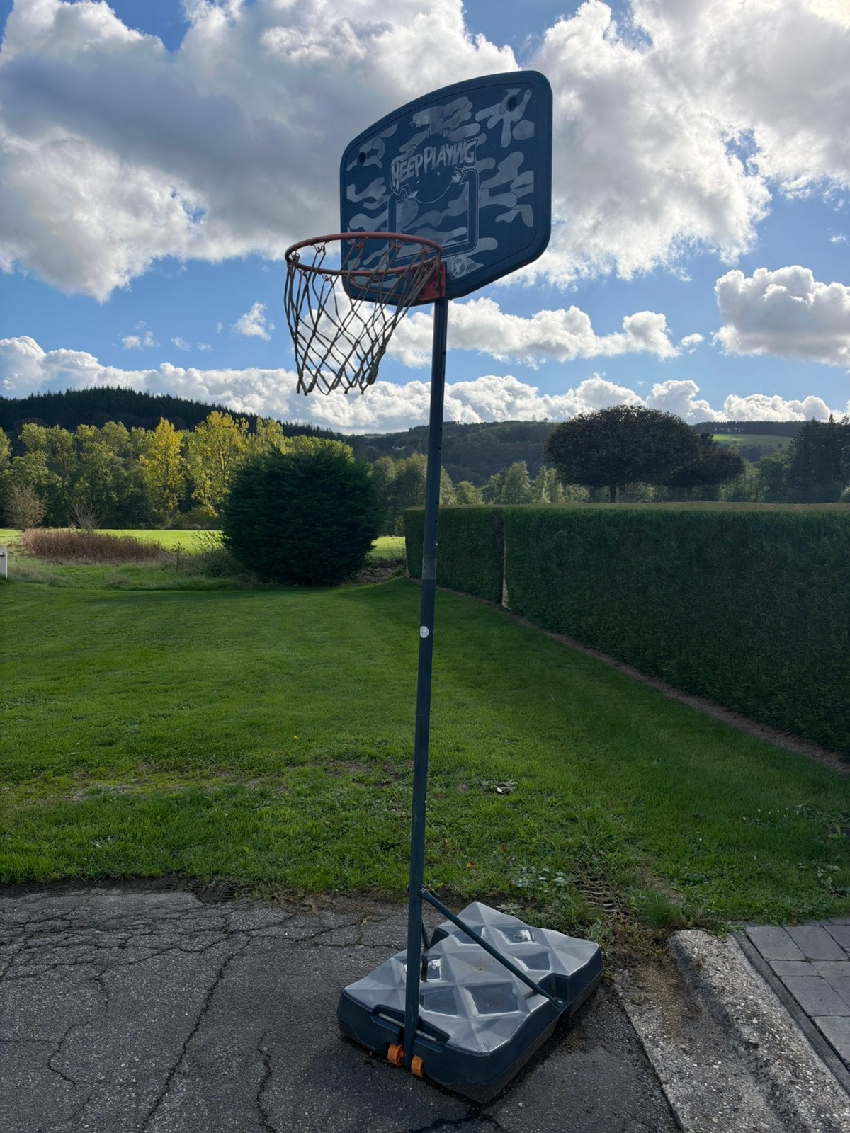 Panier de basket réglable, Sports & Fitness, Enlèvement, Utilisé, Anneau, Panneau ou Poteau