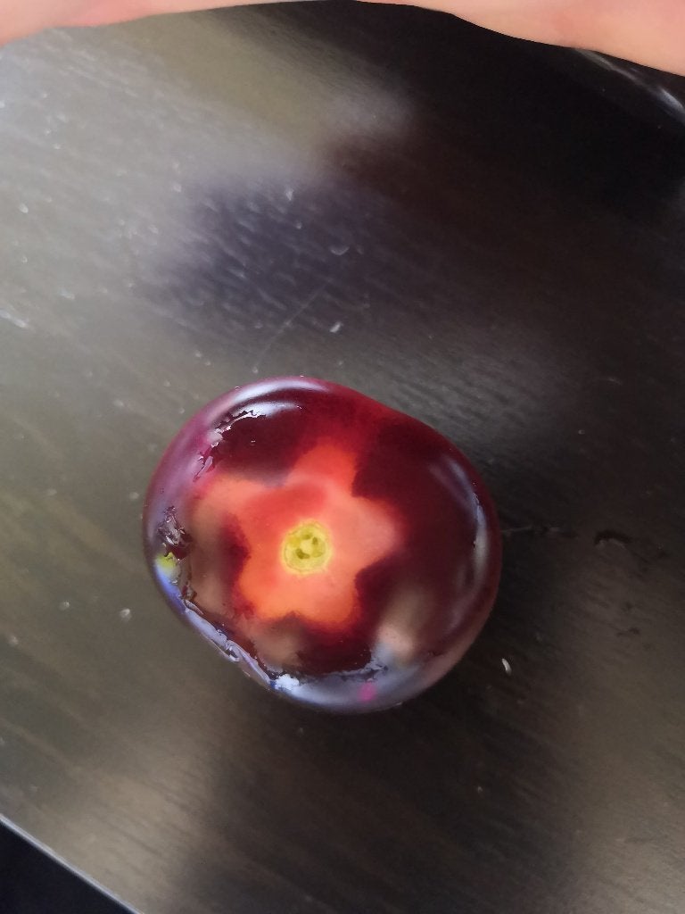 5 graines de tomate cerise Glossy Rose Blue - biologique, Jardin & Terrasse, Bulbes & Semences, Envoi, Printemps, Graine