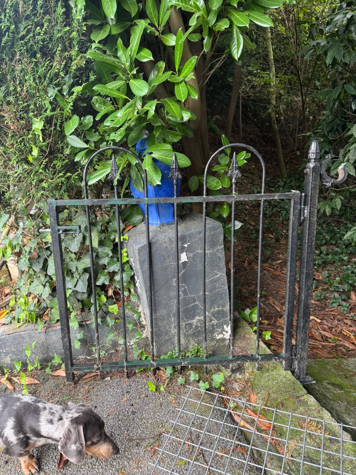 metalen sierhekwerkpoortje, Tuin en Terras, Ophalen, Gebruikt