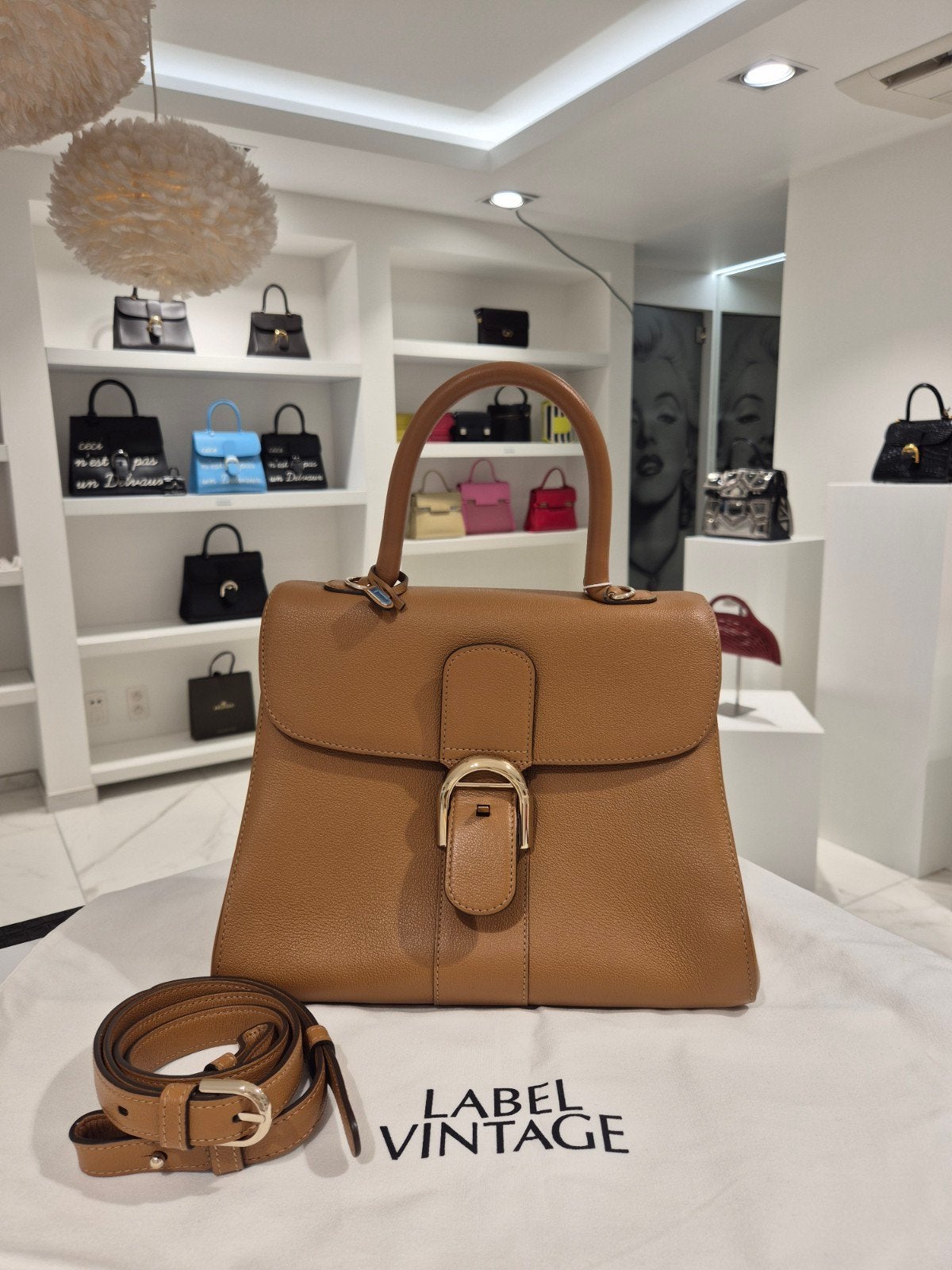 Delvaux Brillant MM Vegetal, Handtassen en Accessoires, Ophalen, Zo goed als nieuw, Bruin, Handtas