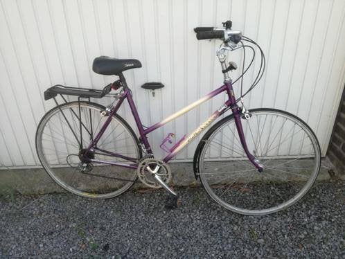 Dameskoersfiets u scanini retro, Enlèvement