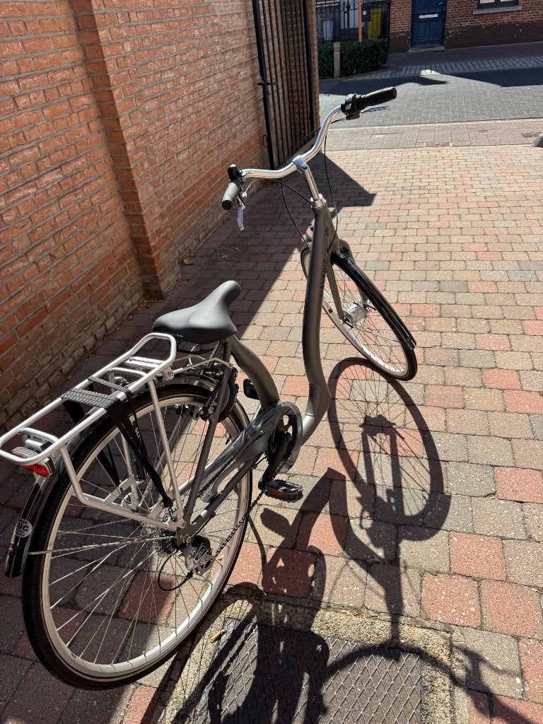 Fiets, Fietsen en Brommers, Fietsen | Dames | Damesfietsen, Velgrem, (Extra) lage instap, Nieuw, Minder dan 47 cm