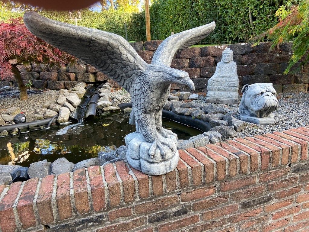 Adelaar , 90x70cm, Ophalen, Nieuw, Beton, Dierenbeeld