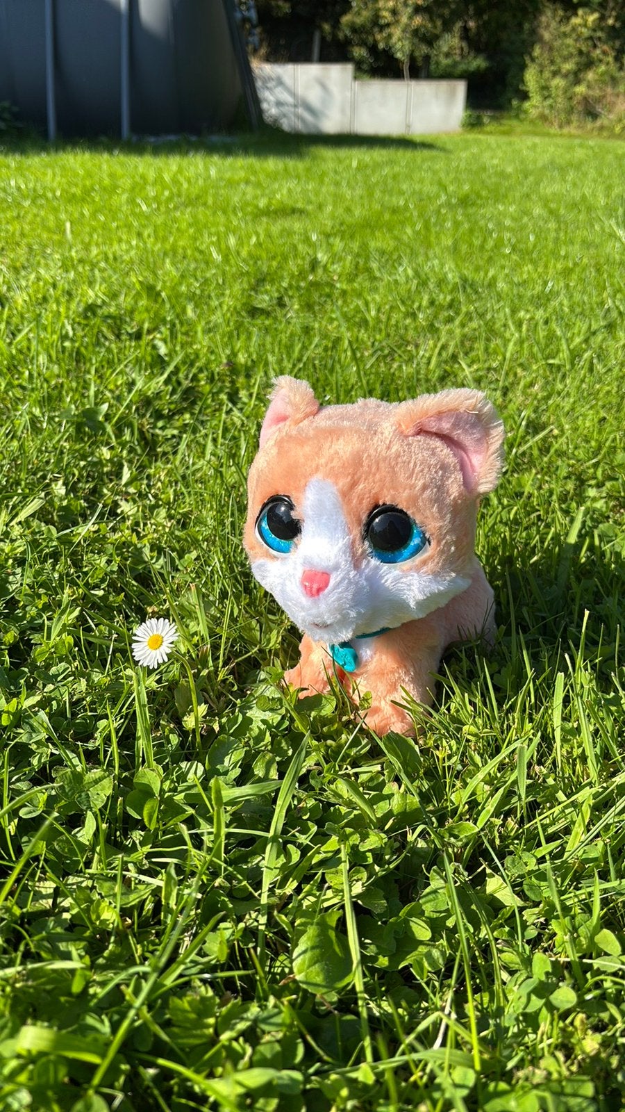 Fur real interactief kitten, Ophalen of Verzenden, Zo goed als nieuw