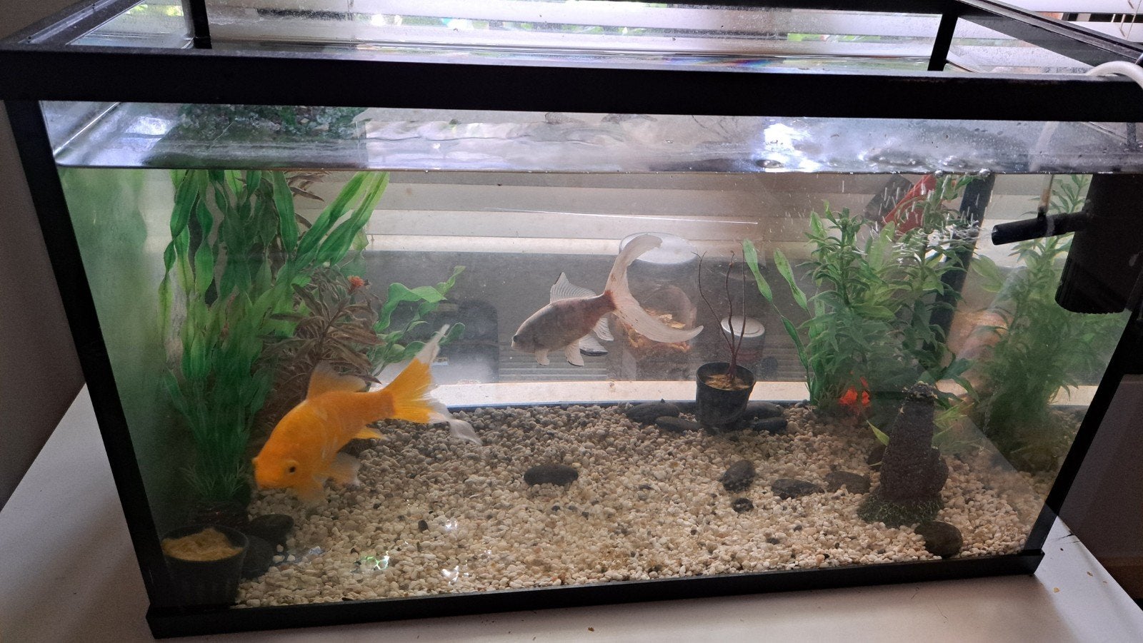 Aquarium 50-25 cm , hoogte 30 cm, Dieren en Toebehoren, Ophalen