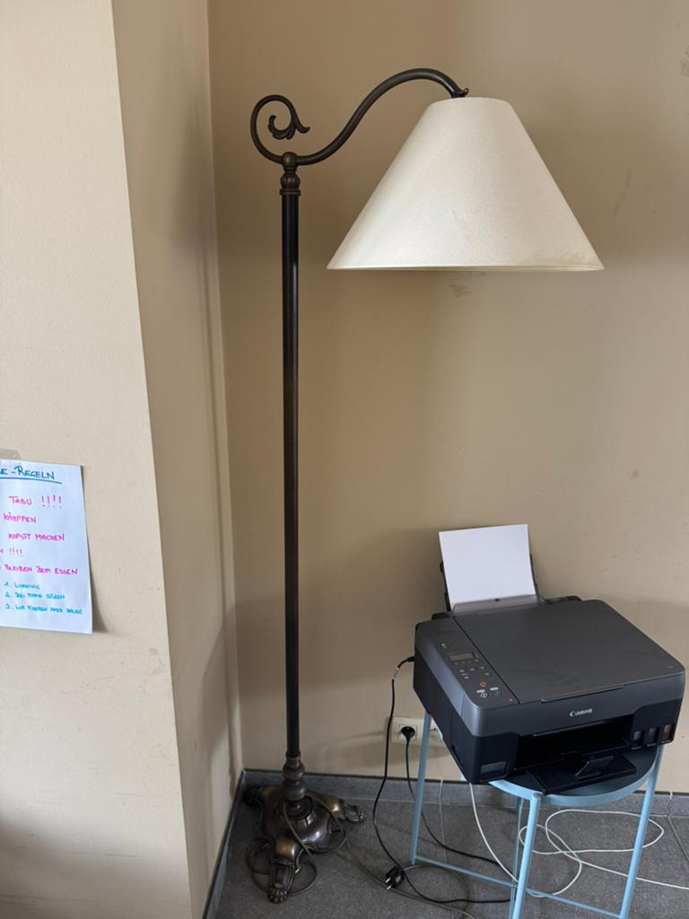 Rustieke lamp, Ophalen, Gebruikt