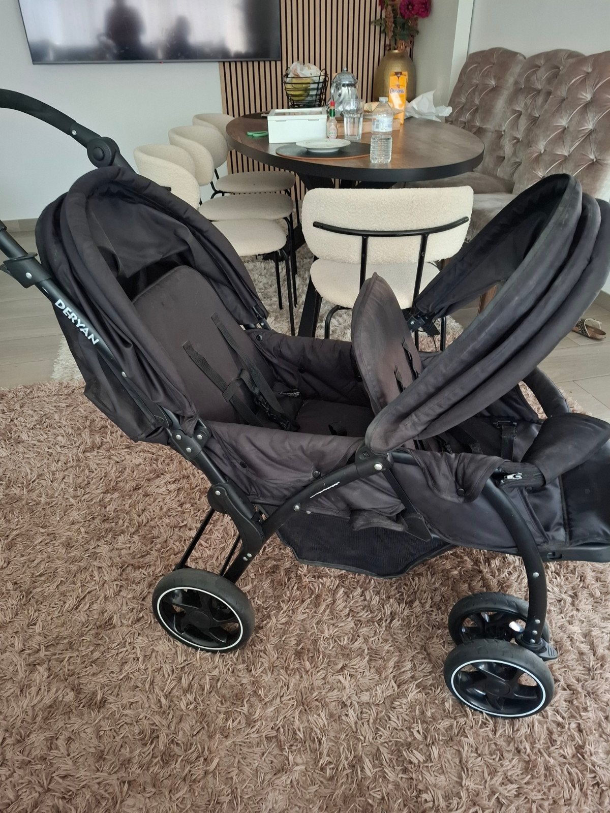 Deryan Elena dúo buggy, Enlèvement