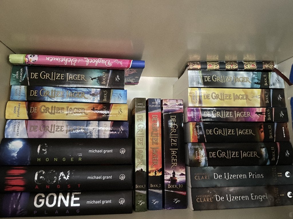 De Grijze Jager complete reeks 1-12, geen delen los, Boeken, Ophalen of Verzenden, Zo goed als nieuw, John Flanagan