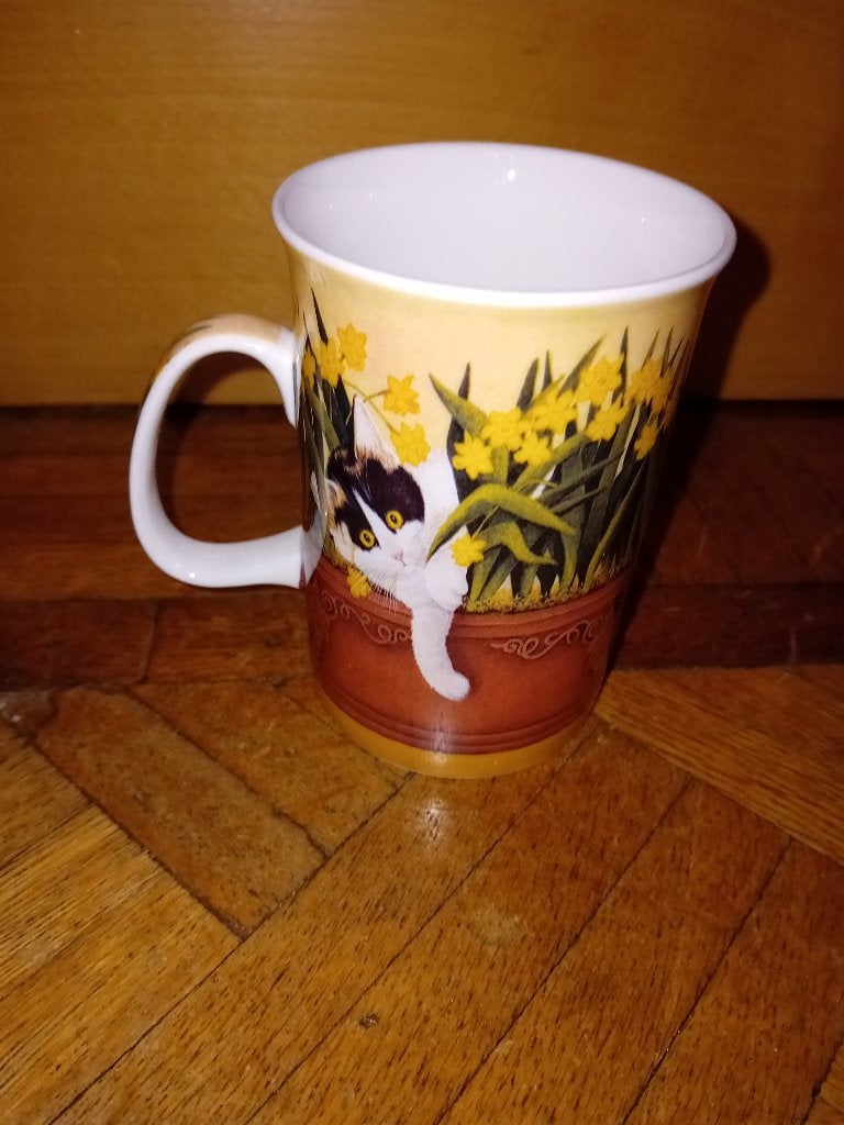 Tasse chat, Enlèvement