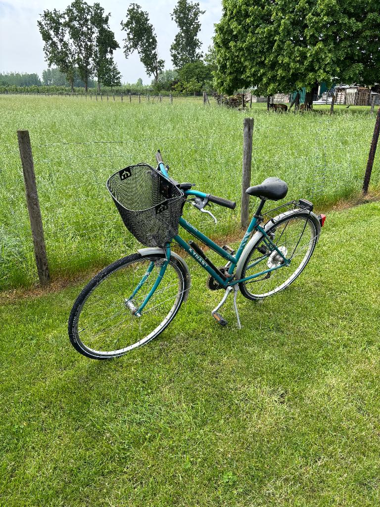 Vélo de ville pour dame Kynast Supra, Autres marques, Vitesses, Frein sur jante, Enlèvement