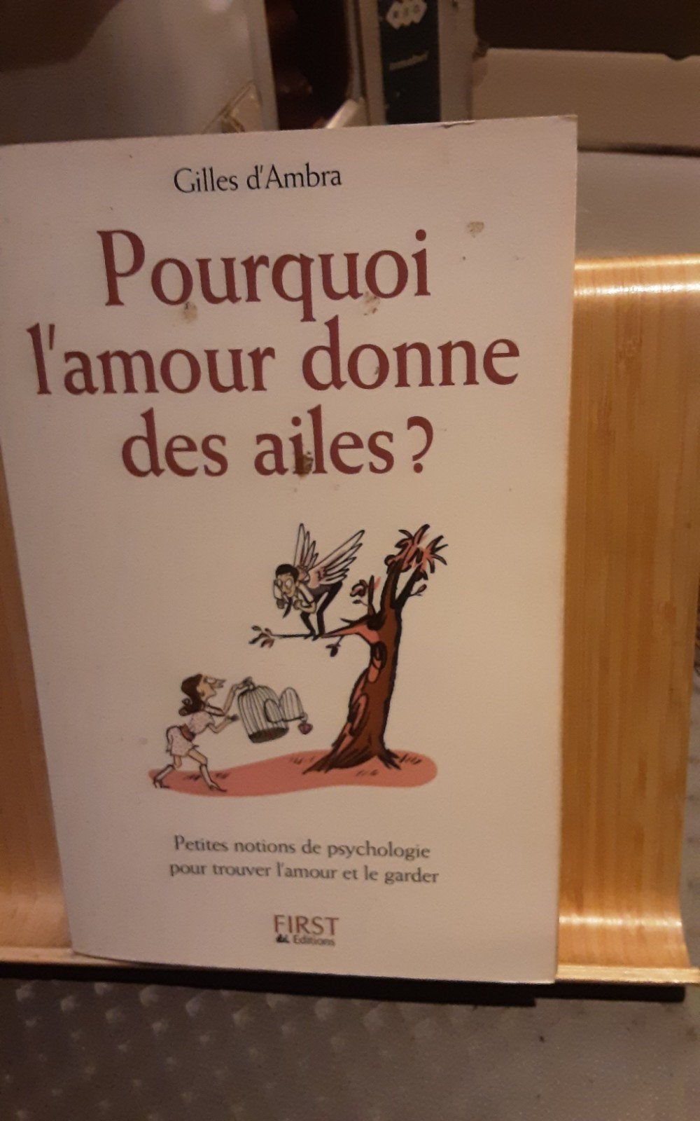 pourquoi l amour donne des ailes boek, Livres, Psychologie, Enlèvement ou Envoi, Utilisé, Psychologie de la personnalité, Gilles d'Ambra