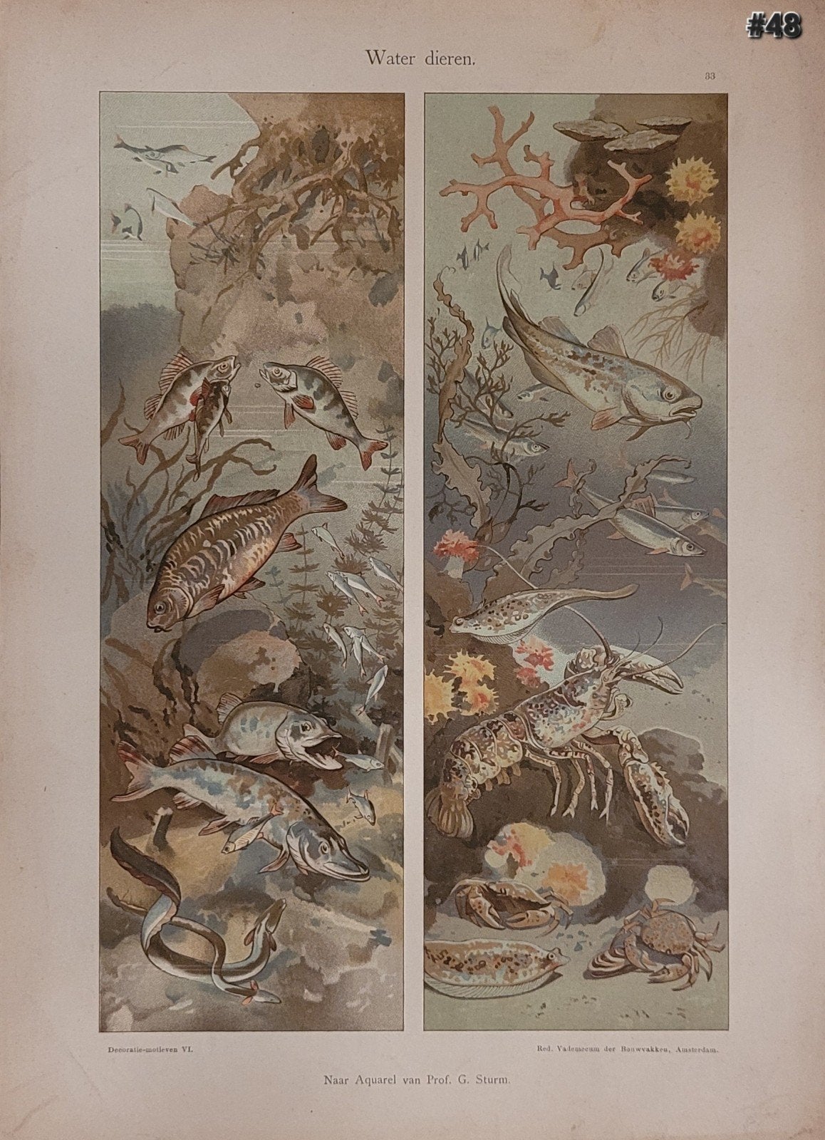 Antieke chromolitho's. vademecum der bouwvakken per stuk! #3, Antiquités & Art, Autres sujets, Lithographie, Numéroté, Envoi