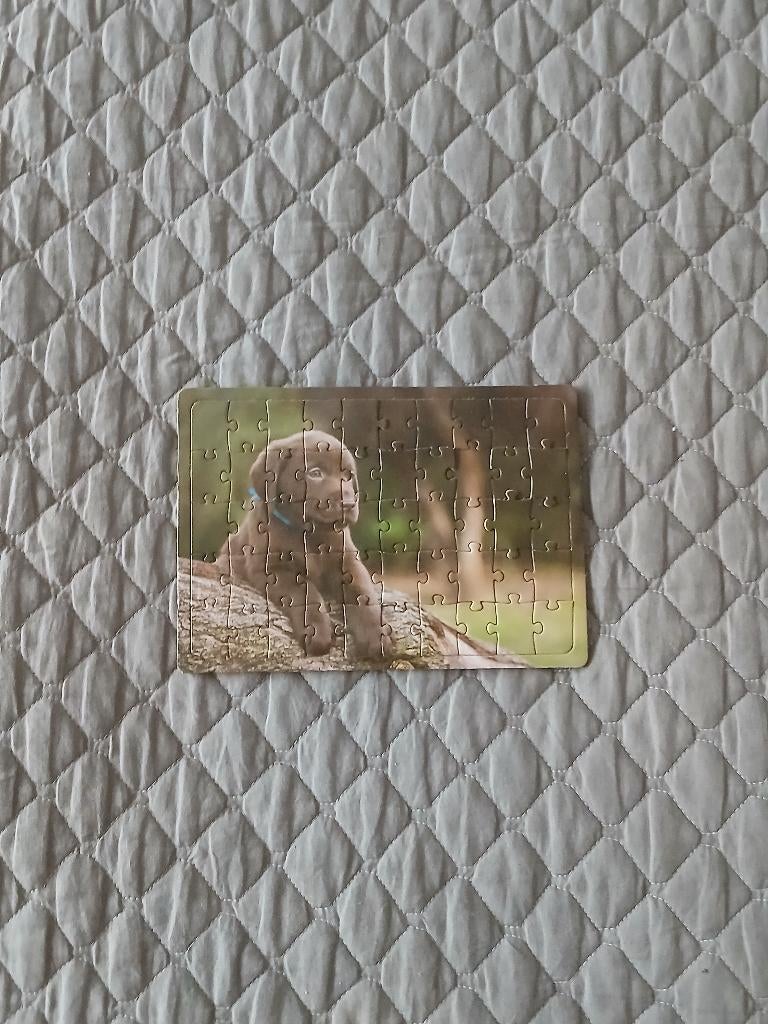 Schattige puzzel Bruine Labrador Puppy - 54 stukjes, Enlèvement ou Envoi, Moins de 500 pièces, Neuf, Puzzle