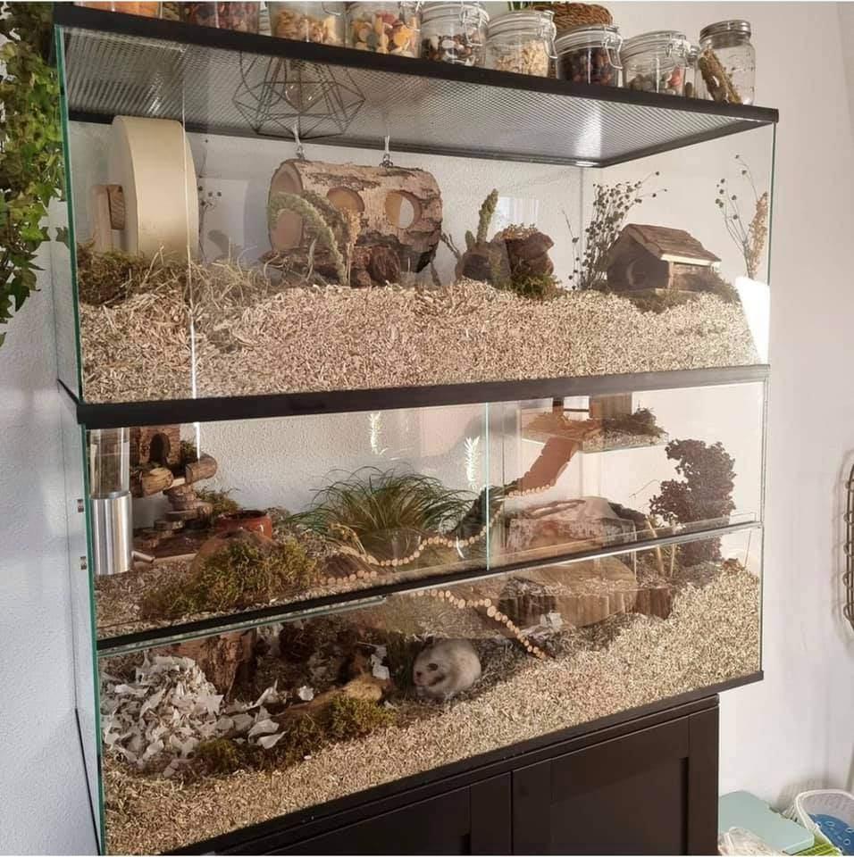 Uitbreidingen voor terrarium en gerbilarium, Dieren en Toebehoren, Knaagdieren en Konijnen | Hokken en Kooien, Minder dan 60 cm