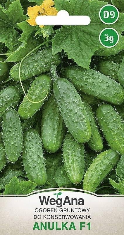 plants de concombre 10 variétés de concombres, Jardin & Terrasse, Plantes | Jardin, Annuelle, Été, Enlèvement, Plantes potagères